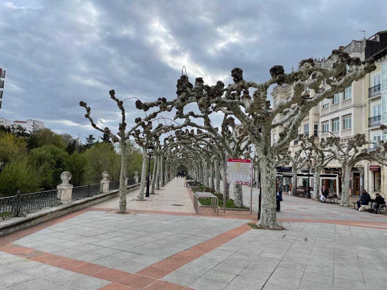 El Farolillo De La Catedral Vivienda De Uso Turistico Vut 9/251 Apartment Burgos Ngoại thất bức ảnh